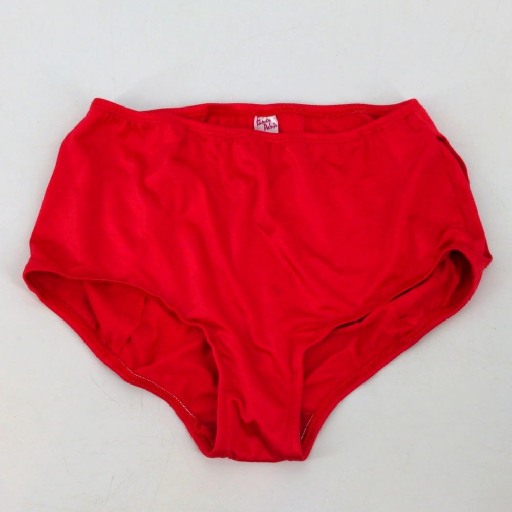 VTG 80s Nylon Panties Silky Stretchy Shiny Sports Granny Medium Made In USA NEW
